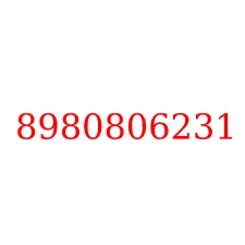 8980806231