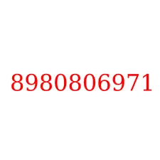 8980806971