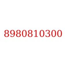 8980810300