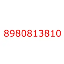 8980813810