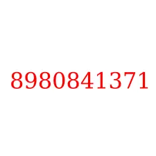 8980841371