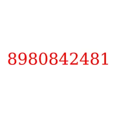 8980842481