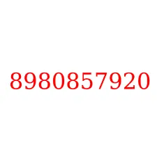 8980857920
