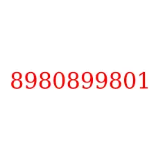 8980899801