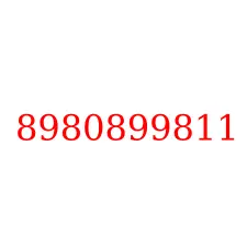 8980899811