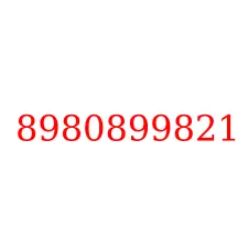 8980899821