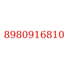 8980916810