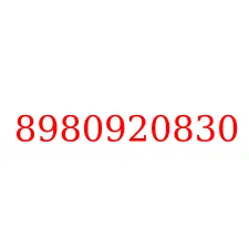 8980920830