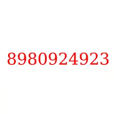 8980924923