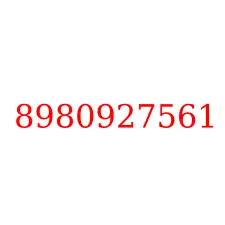 8980927561