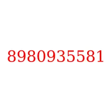 8980935581