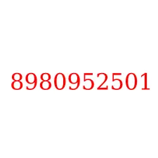 8980952501
