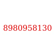 8980958130