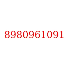 8980961091