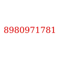 8980971781