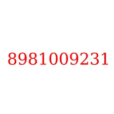 8981009231