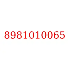 8981010065