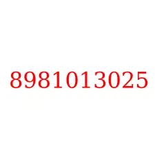 8981013025