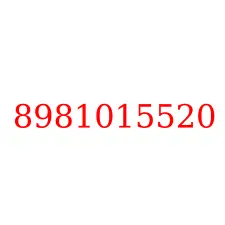 8981015520