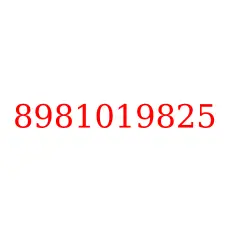 8981019825