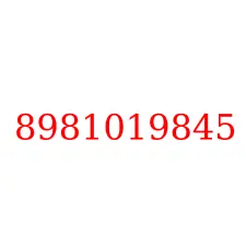 8981019845