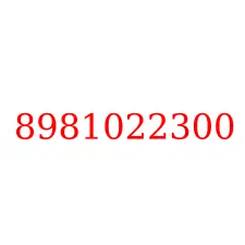 8981022300