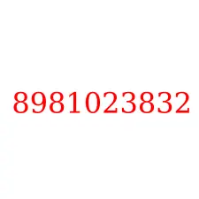 8981023832