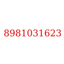 8981031623