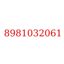 8981032061