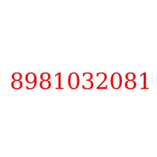 8981032081
