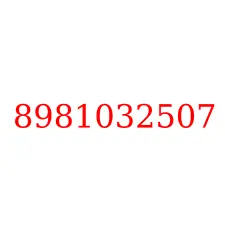 8981032507