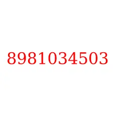 8981034503