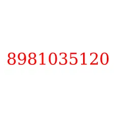 8981035120