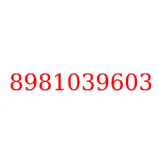 8981039603