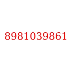 8981039861