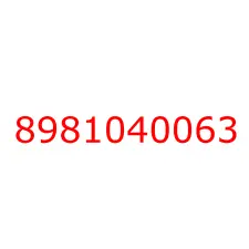 8981040063