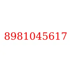8981045617