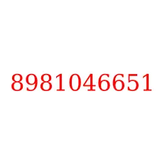 8981046651