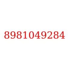8981049284