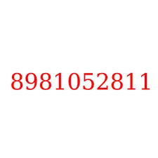 8981052811