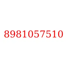 8981057510