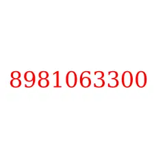 8981063300