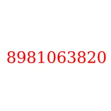 8981063820