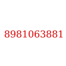 8981063881