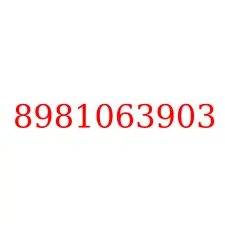 8981063903
