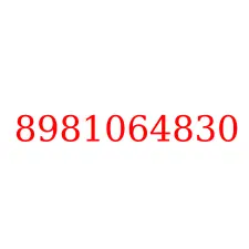8981064830