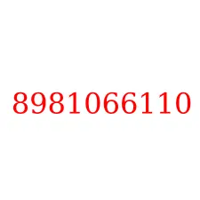 8981066110