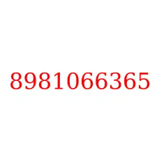 8981066365