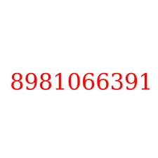 8981066391