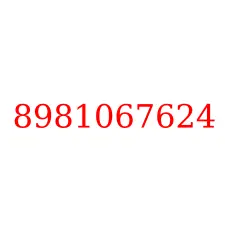 8981067624